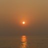 திராவிடன்'s profile picture