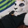 Fierysaltliondaddy's profile picture