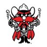 Фото профиля Raiderwest 🌵