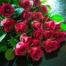 Aimilia EMY's profile picture