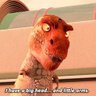 Bryce Anderson's profile picture