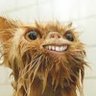 Mr. Asraiel's profile picture