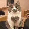 lovekidswant's profile picture