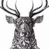 Фото профиля Anhad
