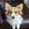 yuki's profile picture