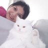Kedi bakıcısı Mona Ghaffari's profile picture