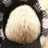 刻み海苔's profile picture