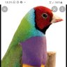 J.M profil fotoğrafı