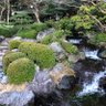 コケ植物 profil fotoğrafı