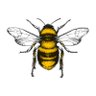 BeeBenefield profil fotoğrafı