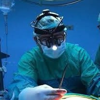 Dr. Deniz GÖKSEDEF's profile picture