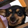Vasco dos Concursos's profile picture