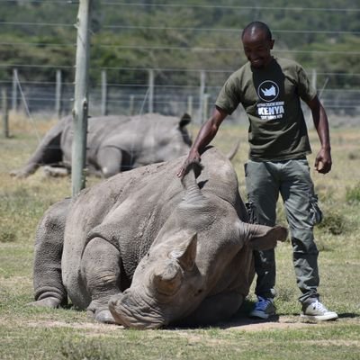 RHINO KENNEDY 🌱🦏💚💪🏾's profile picture