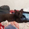 Ara ^_^ profil fotoğrafı