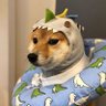Juan Fantasma 的头像