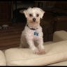 Фото профиля rufus