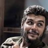 aliavci's profile picture
