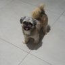 Fabricio's profile picture