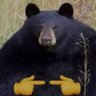 Profilbild von Ludde