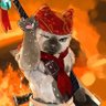 Matthew's profile picture
