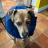 Winedog62's profile picture