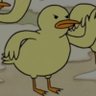 The Local Residents's profile picture