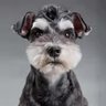 MR.Lang's profile picture
