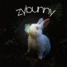 ZybunnyyTTV profil fotoğrafı