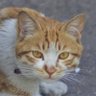于无声处 profil fotoğrafı