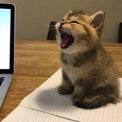 yupiiest's profile picture