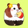 まんまるアニマル mammal animal profil fotoğrafı