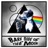 Фото профиля BarkSidePod