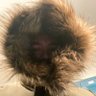 Profilbild von jLove