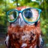 Macegalaxy profil fotoğrafı