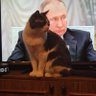 Profilbild von НАШЕ ДЕЛО ПРАВОЕ!