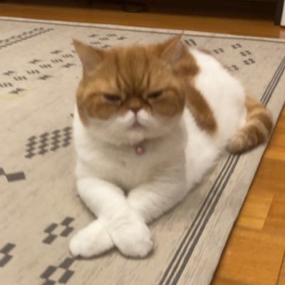 honna1350's profile picture