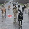 Profilbild von Huysuz İhtiyar Derneği