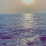 Фото профиля ميشو الغامدي