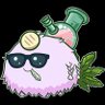 Profilbild von cryptojavo