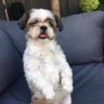 Profilbild von OTTIE