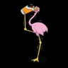 Flamingo Brian profil fotoğrafı