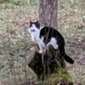 CDaleS_TX profil fotoğrafı