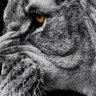Richard's profile picture