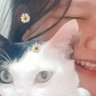 Profilbild von panda always under pressure