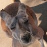 もりもり@ profil fotoğrafı