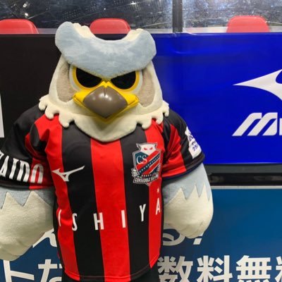 ドーレくん☆'s profile picture