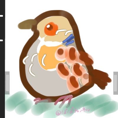 popo_kijibato's profile picture