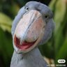 Profilbild von JL