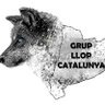 LlopCatalunya 的头像