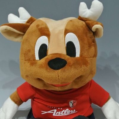 あんとんくん's profile picture